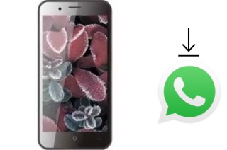 Come installare WhatsApp su 4Good S451M 4G