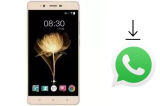 Come installare WhatsApp su Accent Speed X2