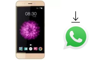 Come installare WhatsApp su Accent Speed Y2