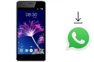 Come installare WhatsApp su Accent Xeon S