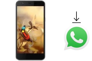 Come installare WhatsApp su AccessGo Gotune 3