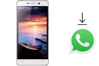 Come installare WhatsApp su AccessGo Gotune 3I