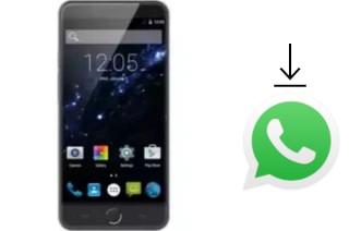 Come installare WhatsApp su AccessGo Gotune 5S