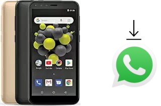 Come installare WhatsApp su Allview A10 Lite 2019