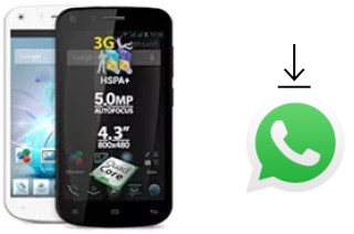 Come installare WhatsApp su Allview A5 Quad