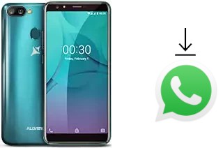 Come installare WhatsApp su Allview P10 Pro