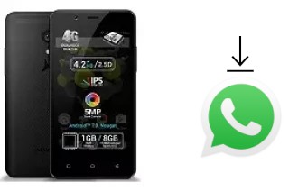 Come installare WhatsApp su Allview P4 Pro