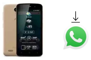 Come installare WhatsApp su Allview P6 Plus