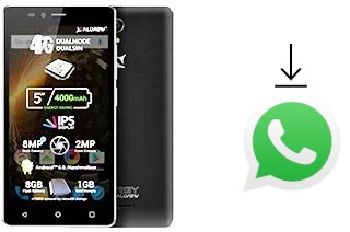 Come installare WhatsApp su Allview P6 Energy Lite