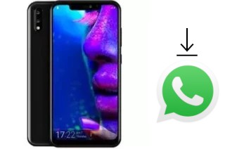 Come installare WhatsApp su Allview X5 Soul