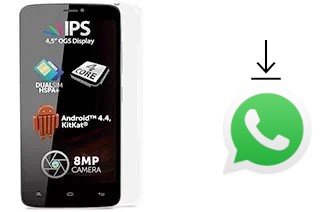 Come installare WhatsApp su Allview Viper E