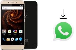 Come installare WhatsApp su Allview X4 Soul Mini