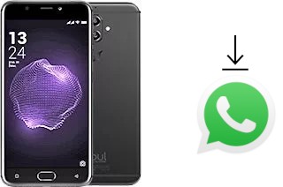 Come installare WhatsApp su Allview X4 Soul