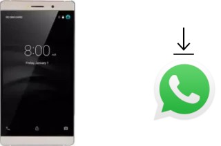 Come installare WhatsApp su Amigoo M1 Max