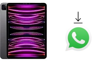 Come installare WhatsApp su Apple iPad Pro 11 (2022)