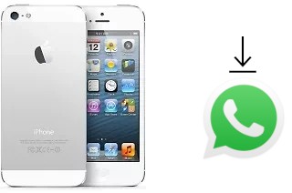 Come installare WhatsApp su Apple iPhone 5