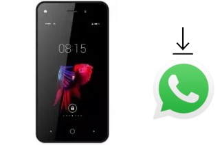 Come installare WhatsApp su Aspera A42