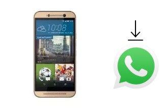 Come installare WhatsApp su Attila M8