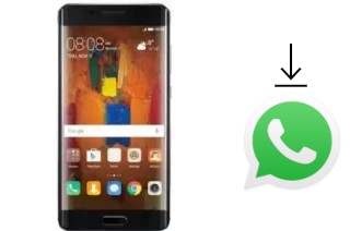 Come installare WhatsApp su Attila Mate Pro