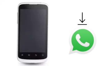 Come installare WhatsApp su Avea Intouch 2