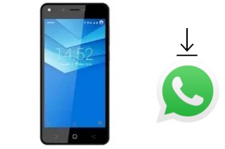 Come installare WhatsApp su Avenzo Mob 4 Pro 4G