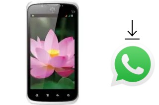 Come installare WhatsApp su Avio Sen S3