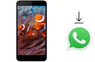 Come installare WhatsApp su Axioo AX5