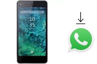 Come installare WhatsApp su Azumi A50 Style Plus