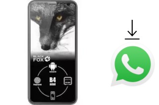 Come installare WhatsApp su Black Fox B4 mini NFC