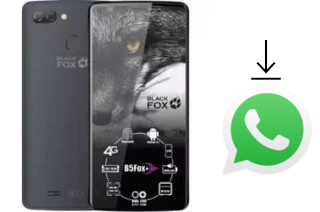 Come installare WhatsApp su Black Fox B5