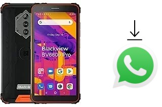 Come installare WhatsApp su Blackview BV6600 Pro