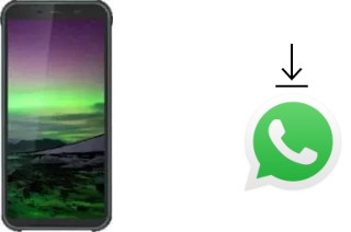 Come installare WhatsApp su Blackview BV5500 Pro