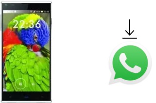 Come installare WhatsApp su Blackview DM550