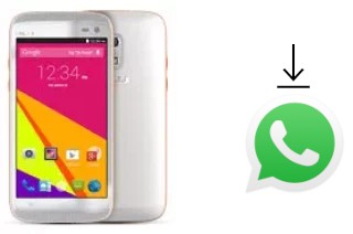 Come installare WhatsApp su BLU Sport 4.5