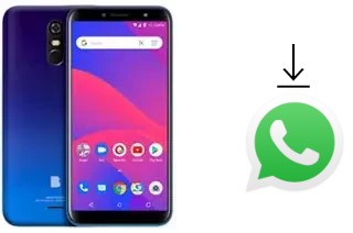 Come installare WhatsApp su BLU C6 2019