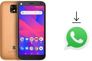 Come installare WhatsApp su BLU J4