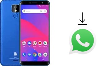 Come installare WhatsApp su BLU J6