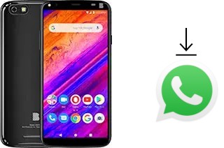 Come installare WhatsApp su BLU Studio Mega 2019