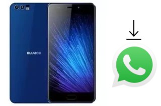 Come installare WhatsApp su Bluboo D2 Pro