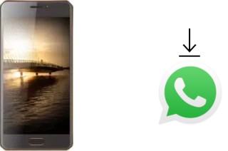 Come installare WhatsApp su Bluboo D2