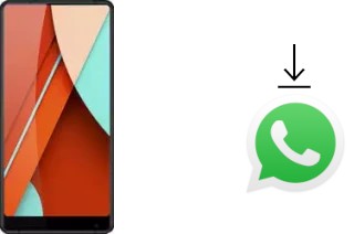 Come installare WhatsApp su Bluboo D5 Pro