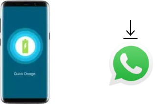 Come installare WhatsApp su Bluboo S8 Lite