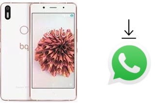 Come installare WhatsApp su BQ Aquaris X5 Plus