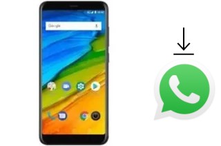 Come installare WhatsApp su Bravis N1-570 Space