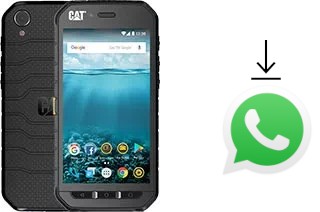 Come installare WhatsApp su Cat S41