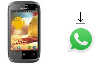 Come installare WhatsApp su Celkon A89