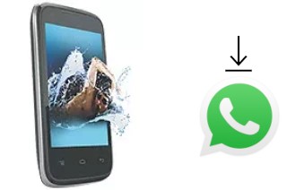 Come installare WhatsApp su Celkon A10