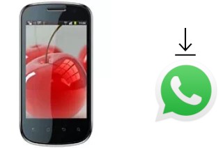 Come installare WhatsApp su Celkon A19