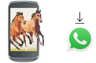 Come installare WhatsApp su Celkon A20