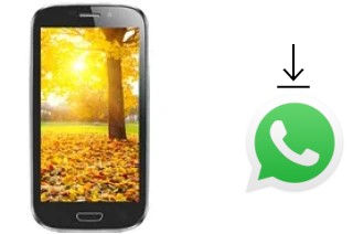 Come installare WhatsApp su Celkon A220